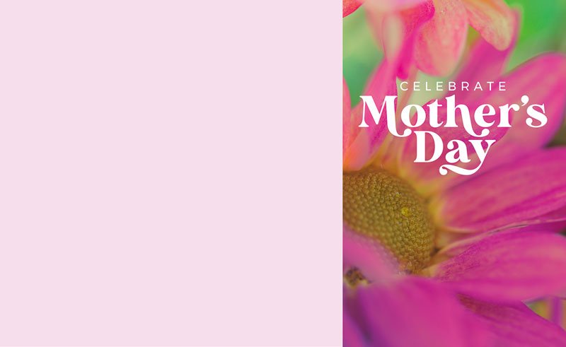 Bulletins, Mother's Day, Mother's Day Bloom, 8.5 x 14