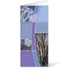 Winter Trees 11 x 17 Bulletins