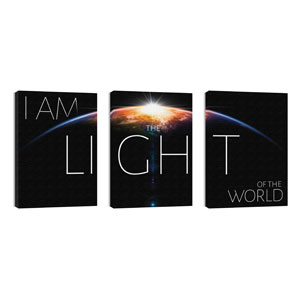 I Am The Light 24in x 36in Canvas Prints
