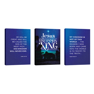 Jesus Uncommon King Triptych 24in x 36in Canvas Prints