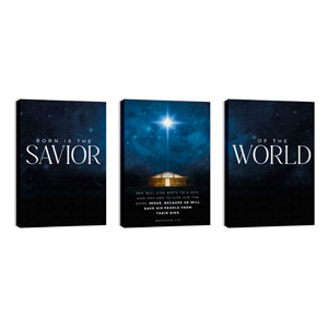 Savior of the World Triptych 24in x 36in Canvas Prints