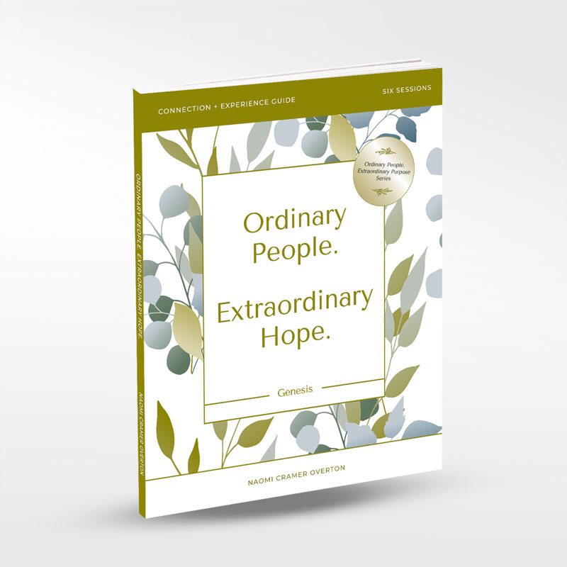 Small Groups, Encouragement, Ordinary People, Extraordinary Hope Participants Guide
