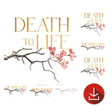 Death To Life Blossom 
