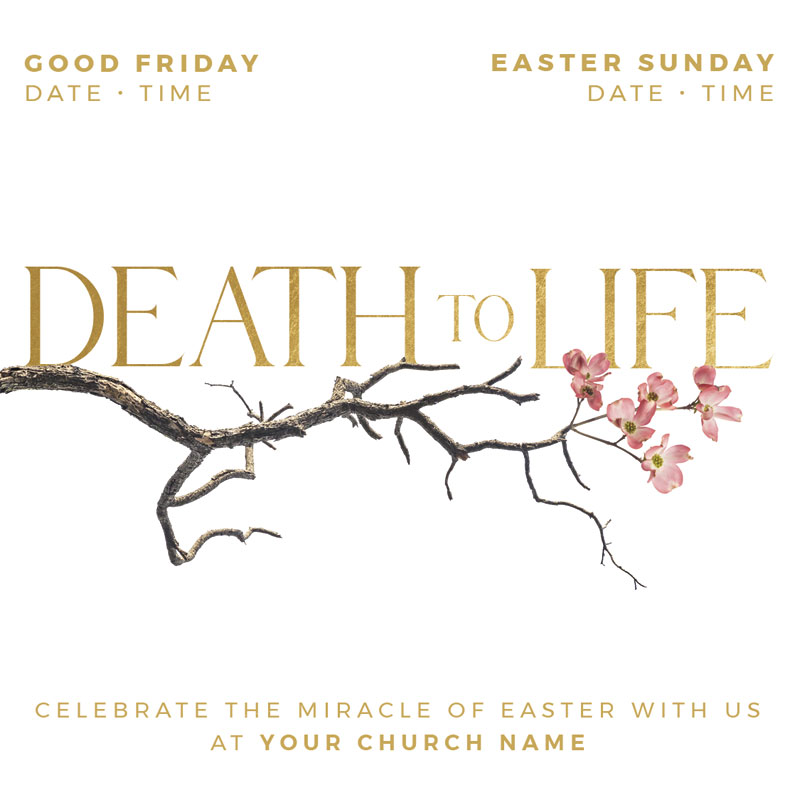 InviteCards, Easter, Death To Life Blossom, 3.75 x 3.75
