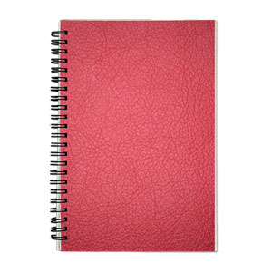 Red Leather Pattern Bible Study SOAP Journal