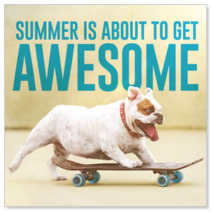 Awesome Summer Dog Social Media Ad Packages